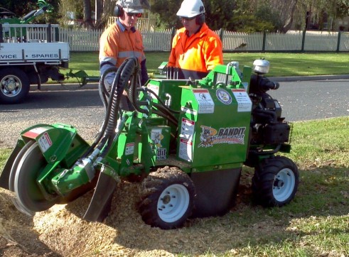 Stump grinding 3