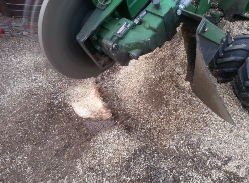 Stump grinding 4