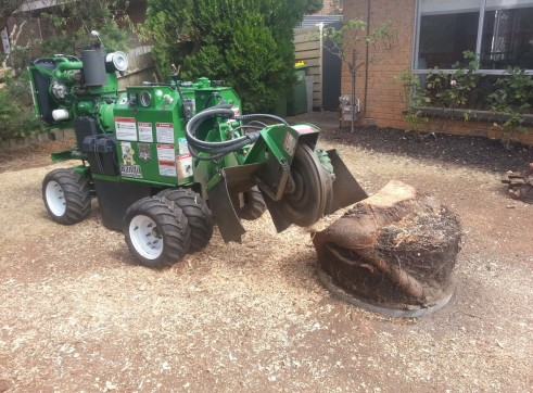 Stump grinding 5