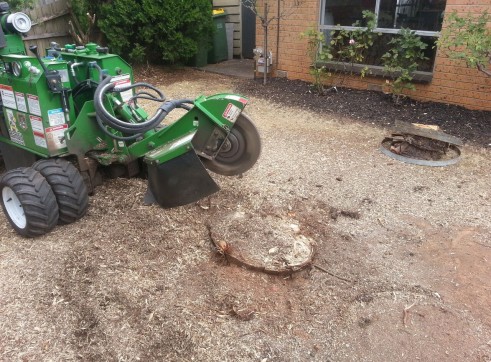Stump grinding 6