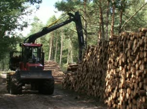 Timber Stacking 3