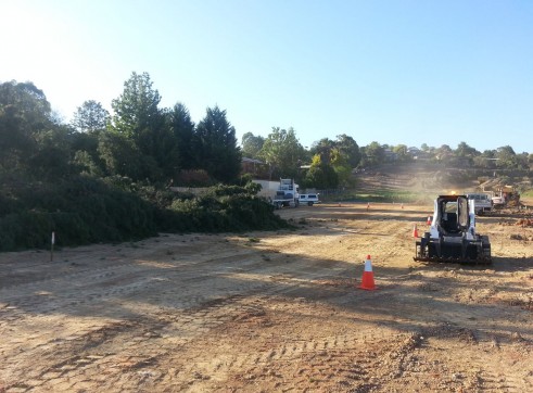 Tree Chipping 4