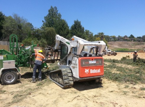 Tree Chipping 5