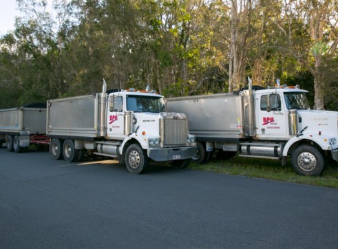 Truck & Dogs 1