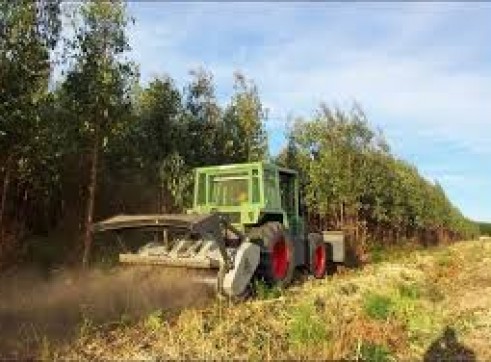 Vegetation Mulching