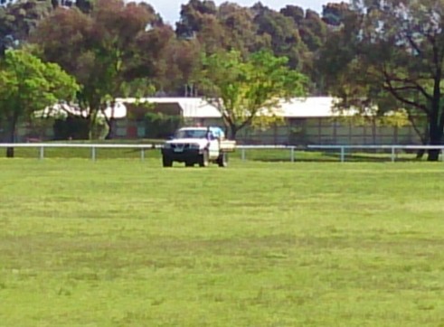 Weed Management 6