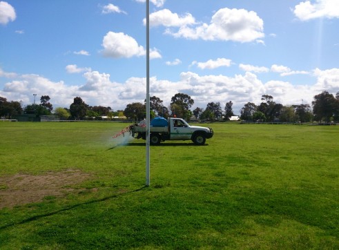 Weed Management 9