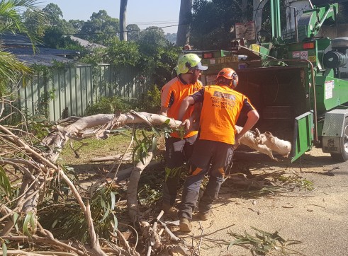 Wood Chipper Mulchers 3