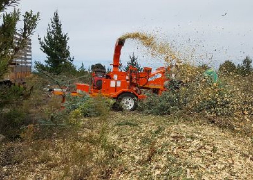 150mm Wood Chipper 4