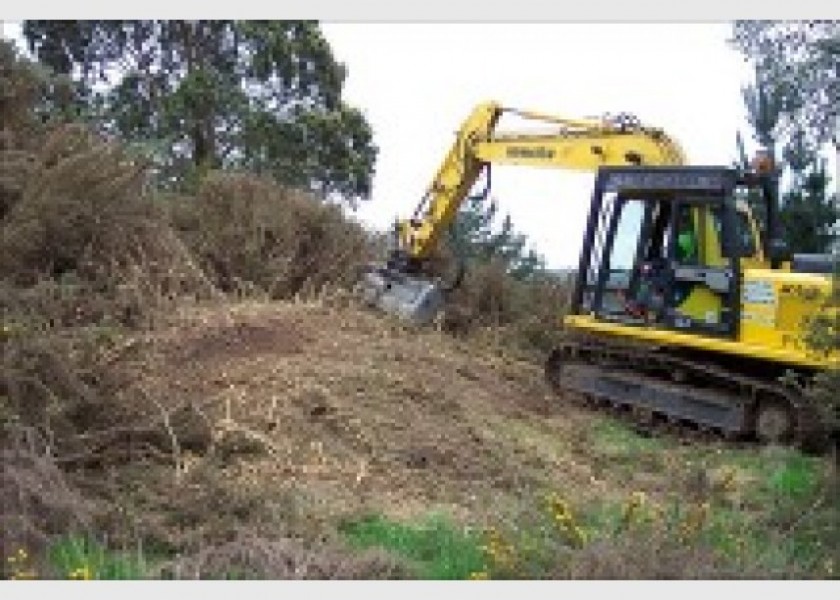 15T Excavator w/Groomer or Tree Grab 2