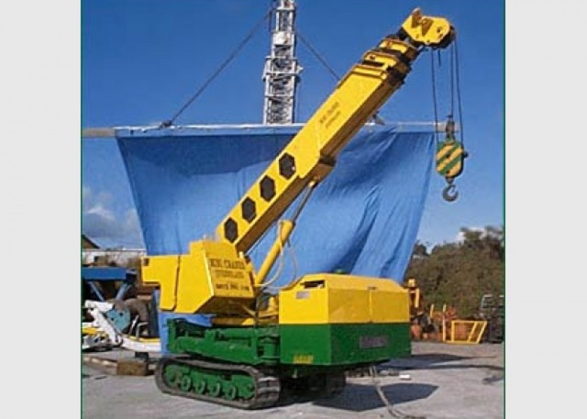 4.5 T Linmac crawler crane 1