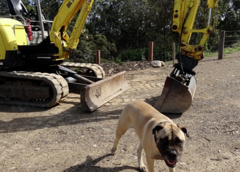 5.5 ton Yanmar Excavator 1