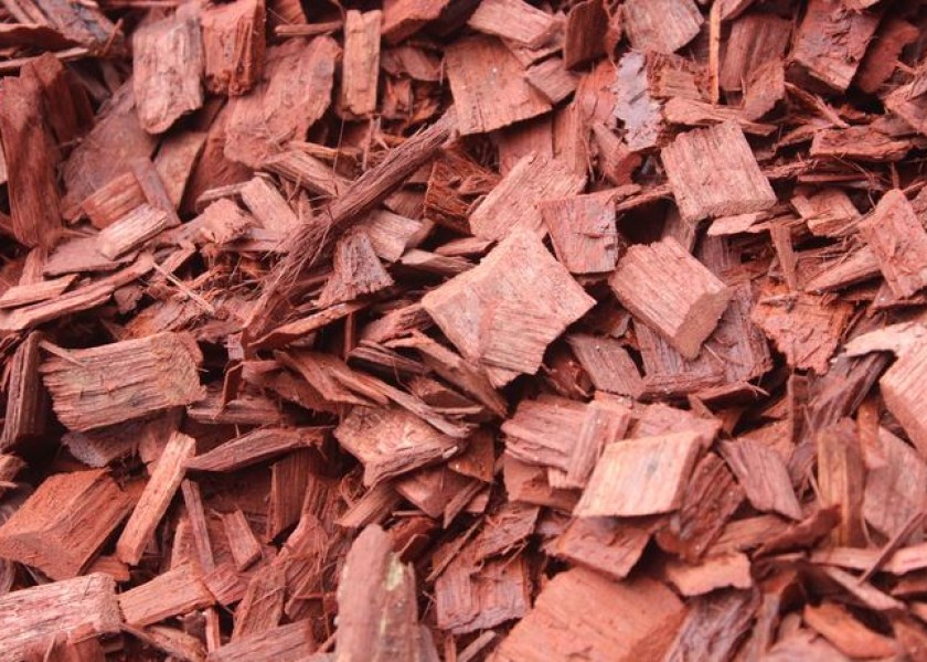 Aussie Red Chip Bark 2