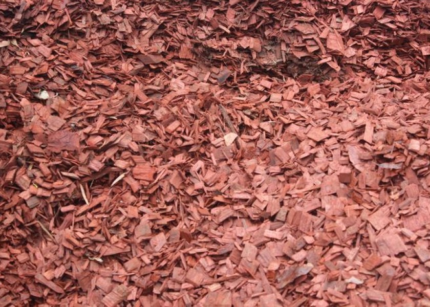 Aussie Red Chip Bark 3