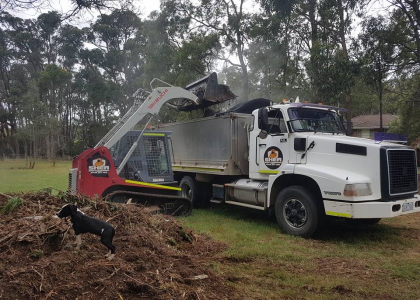 Bogie tipper, Truck & Dog  2