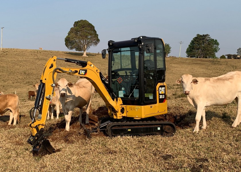 CAT 301.8D Excavator 1