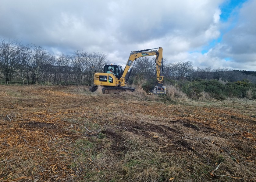 8T CAT 308E2 Excavator w/FAE Forestry Mulcher 4