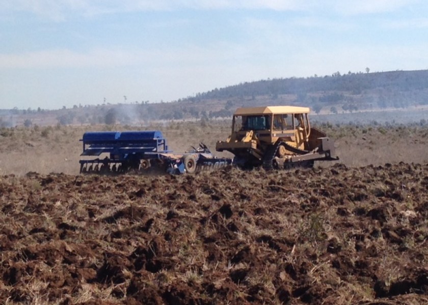 Cat D8T  1
