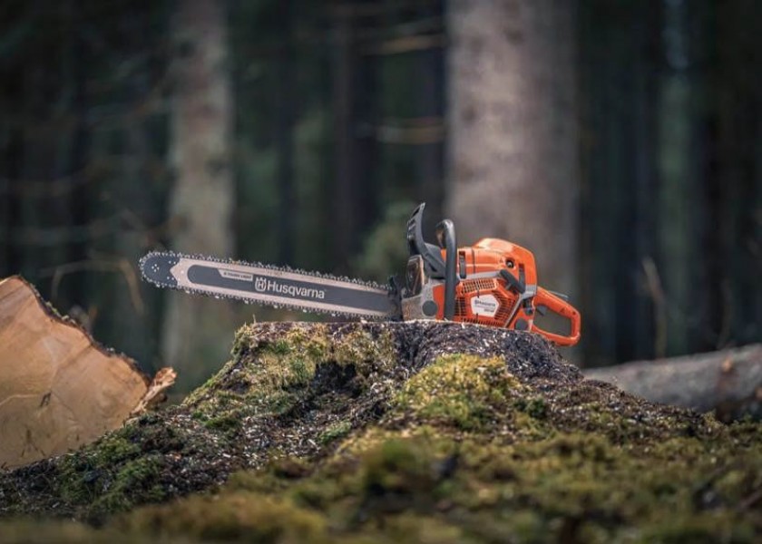 Chainsaw Wet Hire - Tree Removal & Pruning, Hedge Clipping & Stump Grinding 3