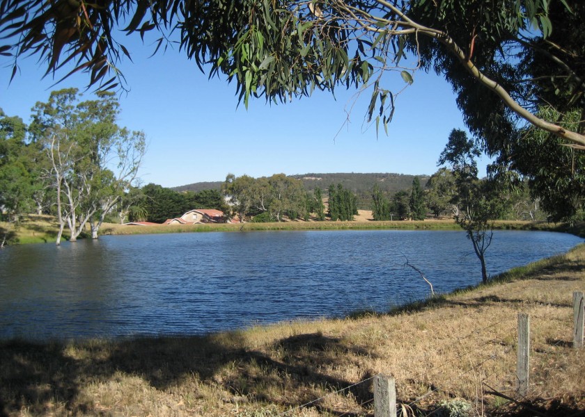 Dam Building 3