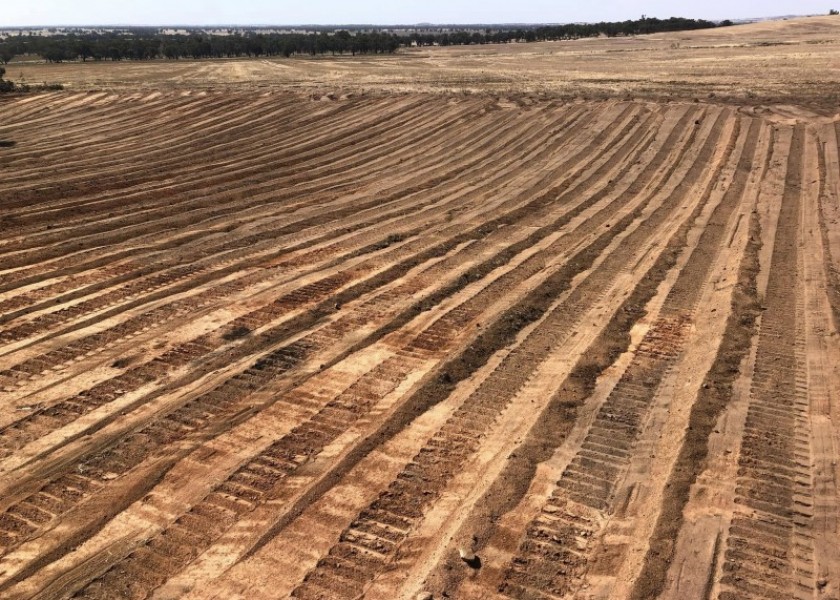 Dozer D6TXL w/operator 5
