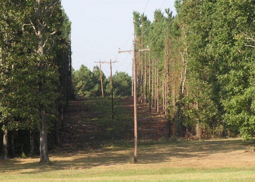 Easement Clearance 1