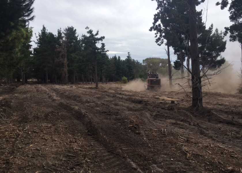 Forestry Mulcher and Grinder 4