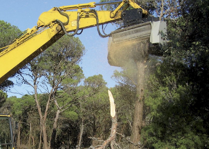 Forestry Mulcher for excavators 3