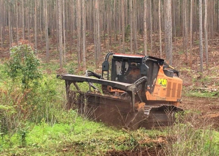 Forestry Mulching 4