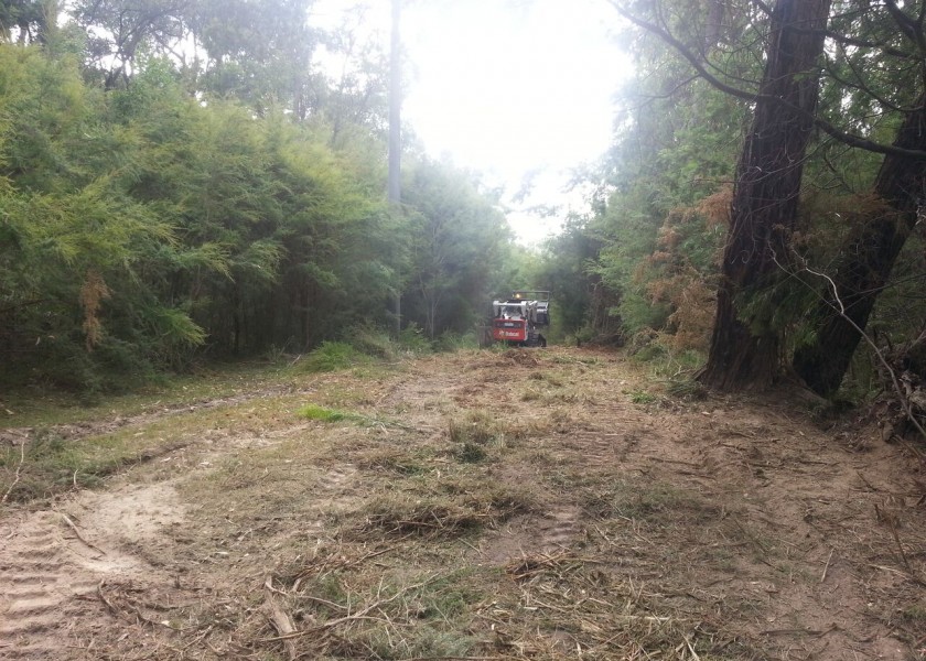 Forestry Mulching 2