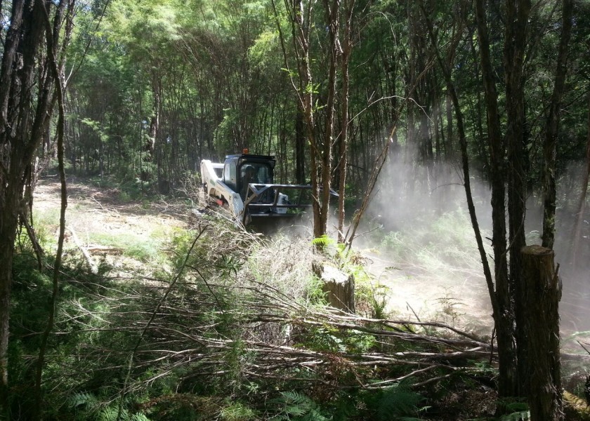 Forestry Mulching 3