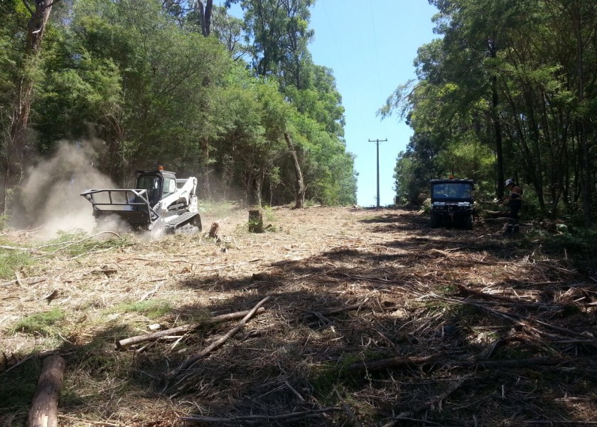 Forestry Mulching 4