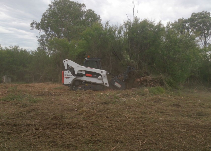 Forestry Mulching 5