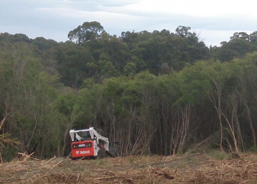 Forestry Mulching 6