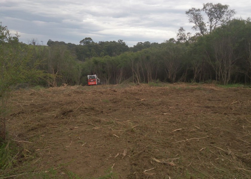 Forestry Mulching 7