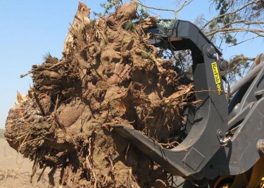 Hardwood Log Grab 3