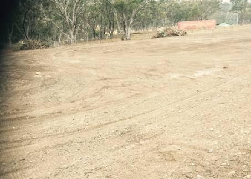 LAND CLEARING 1
