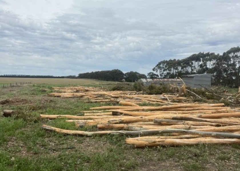 Land clearing 1