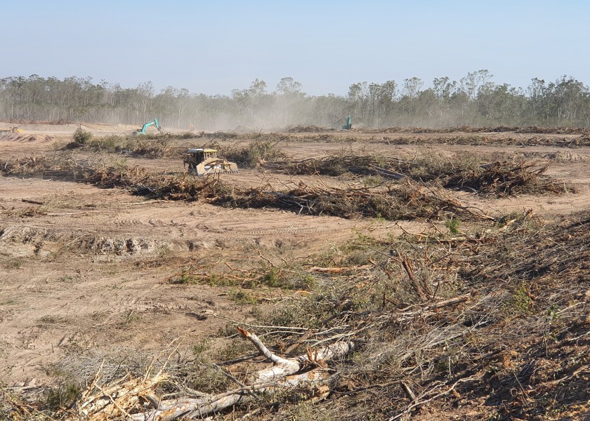 Land Clearing 2