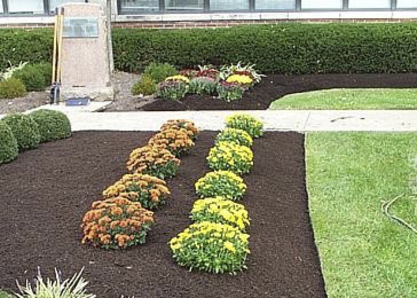 Mulching 1