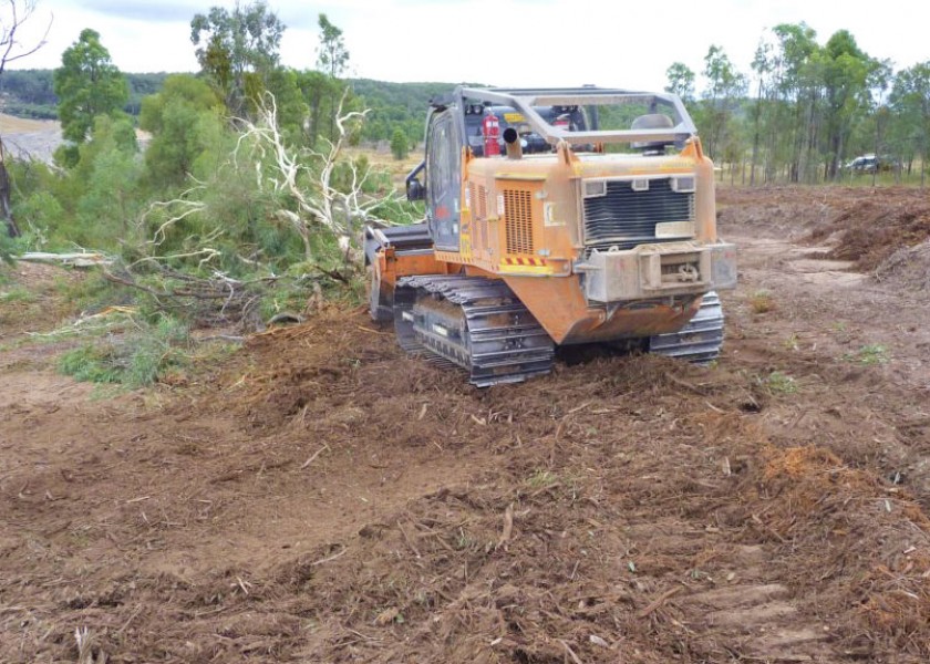 Mulching Gum Trees 2