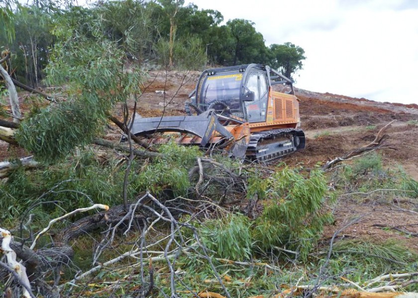 Mulching Gum Trees 3