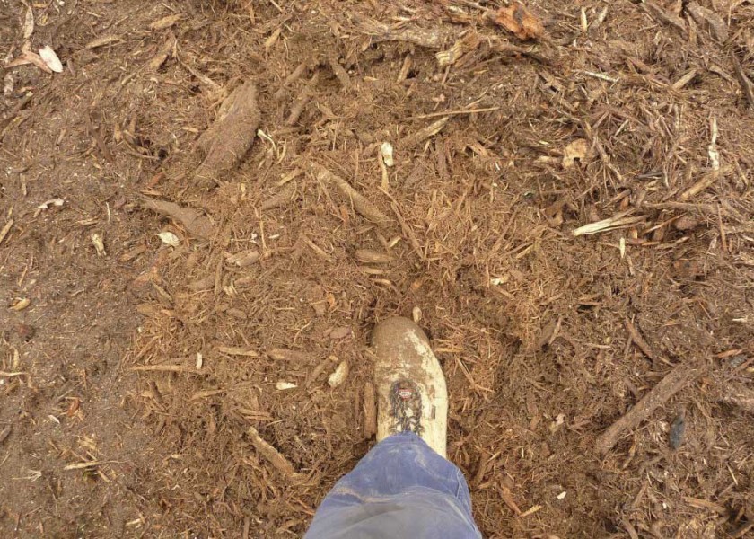 Mulching Tree - Land Clearing 11