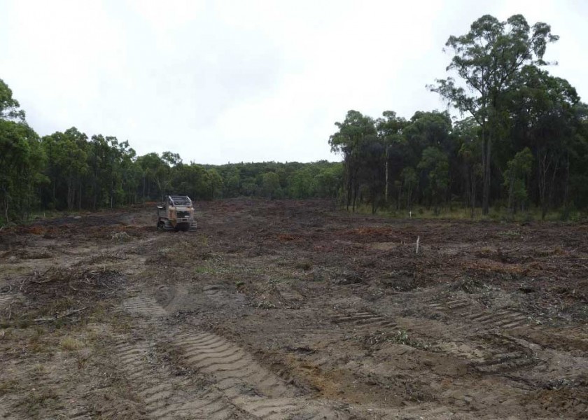 Mulching Tree - Land Clearing 12