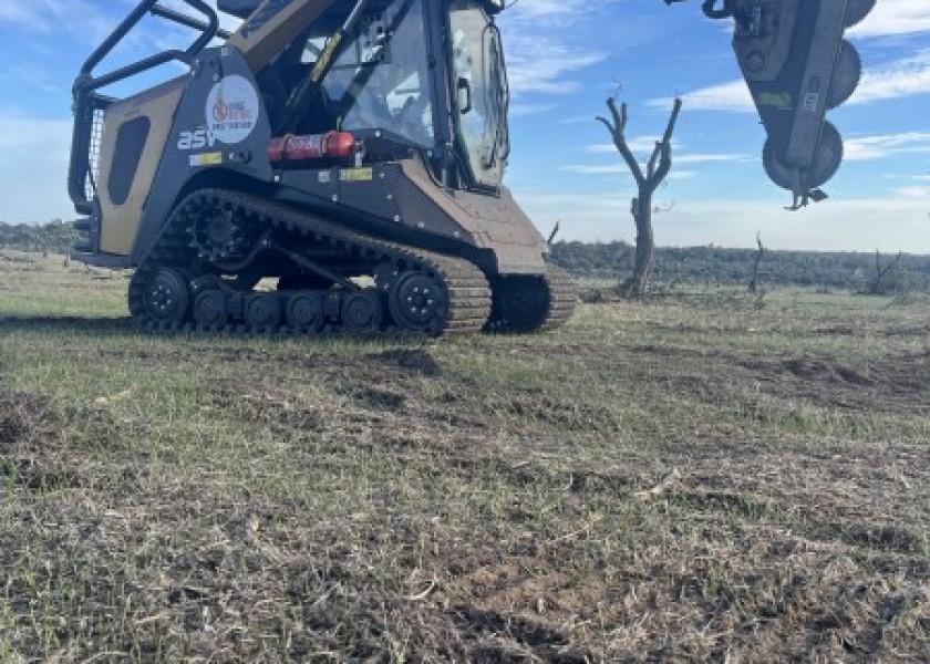 Posi-Track tree pruning 1