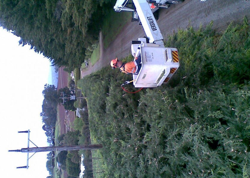 Power line clearing 10