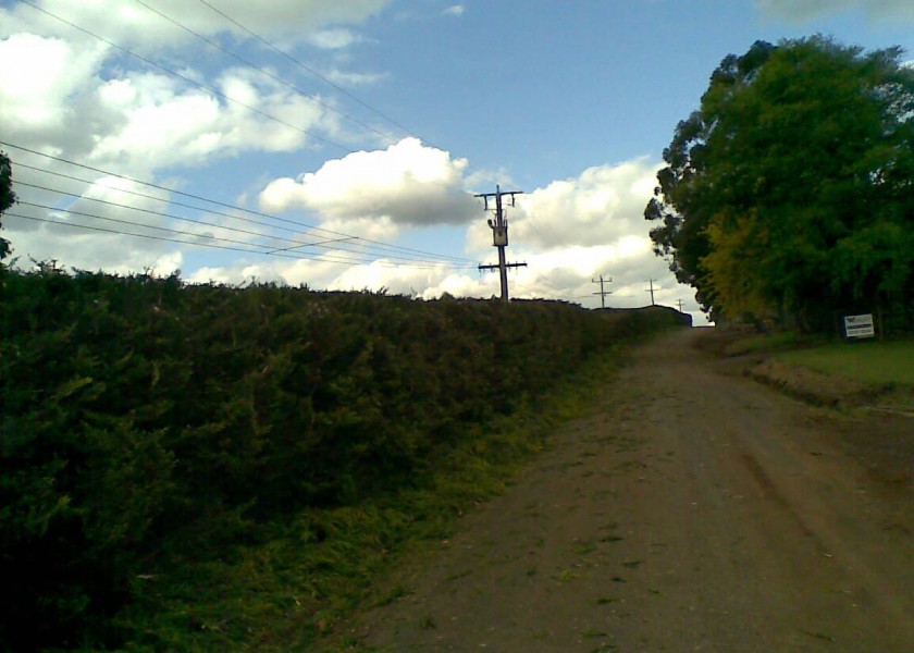 Power line clearing 12