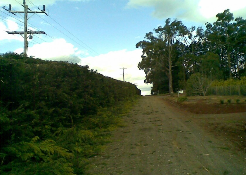 Power line clearing 13