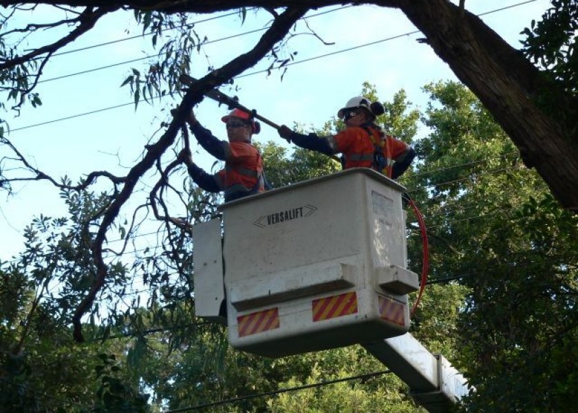 Power line clearing 2