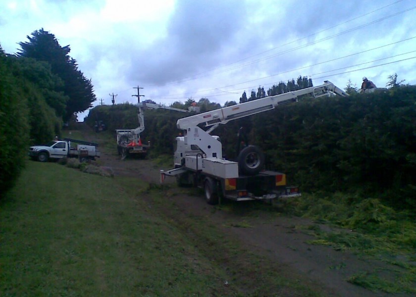 Power line clearing 7